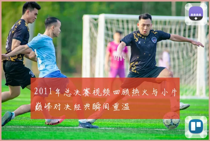 2011年总决赛视频回顾热火与小牛巅峰对决经典瞬间重温